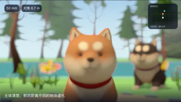 只有较窄的距离范围清楚，前后景逐渐虚化